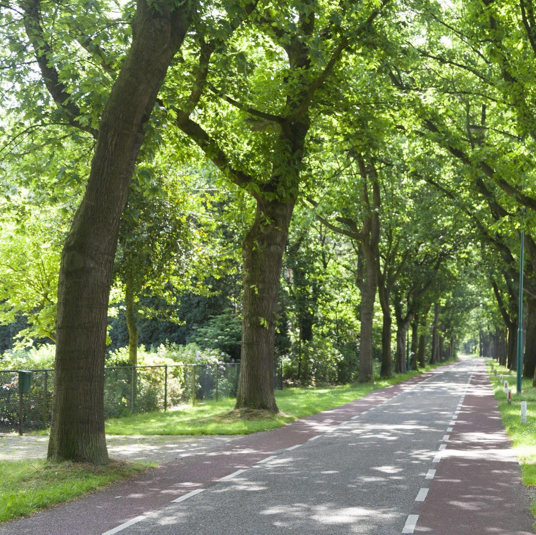 De Naaldhof Oss